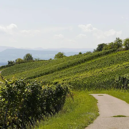 La Petite Cour 본느