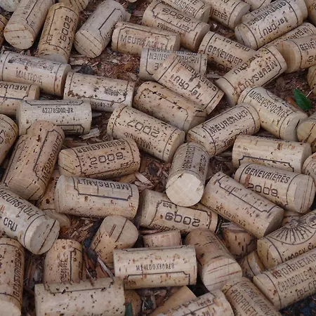 아파트 La Petite Cour *