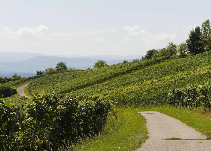 La Petite Cour 본느