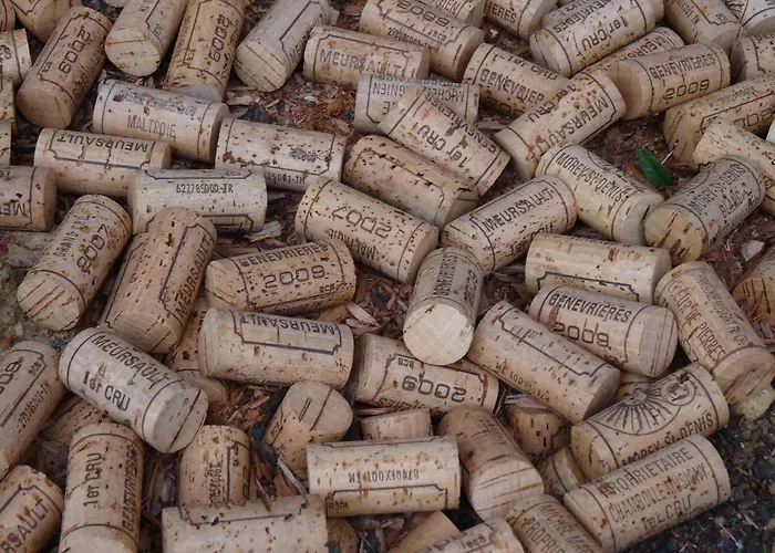 Apartamento La Petite Cour *